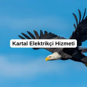 Kartal Elektrikçi Hizmeti