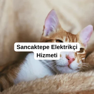 Sancaktepe Elektrikçi Hizmeti