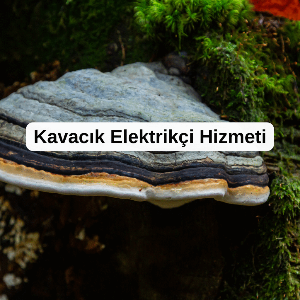 Kavacık Elektrikçi Hizmeti